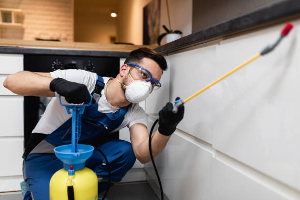 Best Affordable Pest Control Services  in Grafton, ND