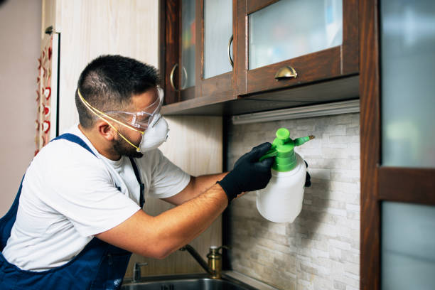 Best Pest Prevention Services  in Grafton, ND