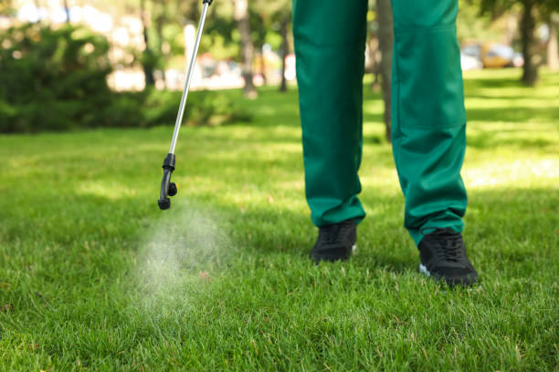 Best Local Pest Control Services  in Grafton, ND