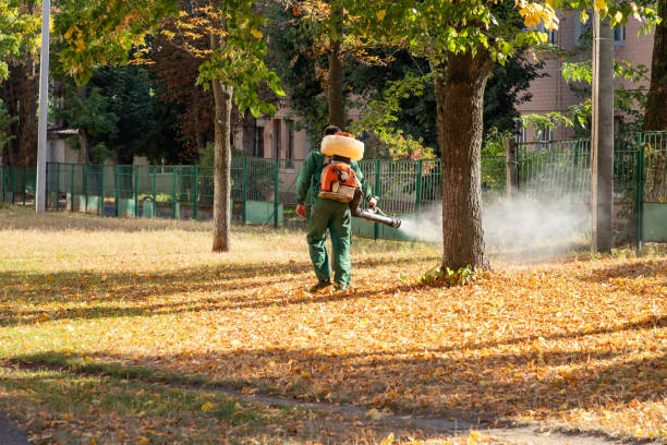 Best Pest Removal Services  in Grafton, ND