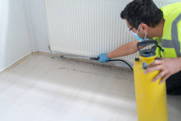 Best Affordable Pest Control Services  in Grafton, ND