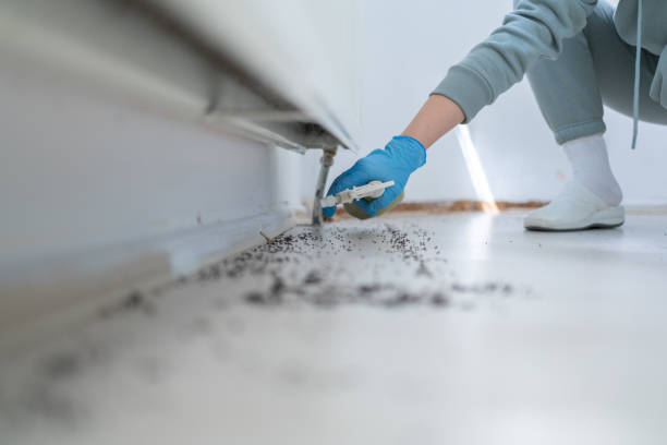 Best Wildlife Control Services  in Grafton, ND