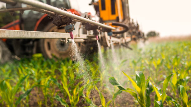 Best Pest Inspection Near Me  in Grafton, ND